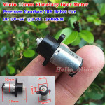 Micro 10mm Planetary Gear Motor 
