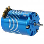 Sensored Brushless Motor